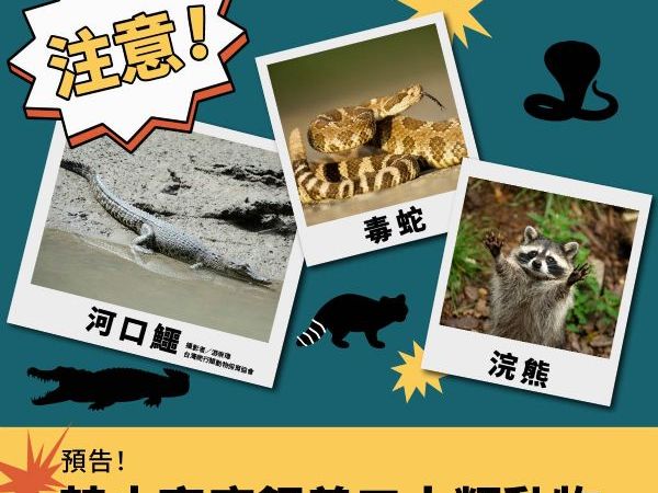 強化公共安全！農業部預告修正草案，將禁止飼養641種具毒性與高攻擊性動物